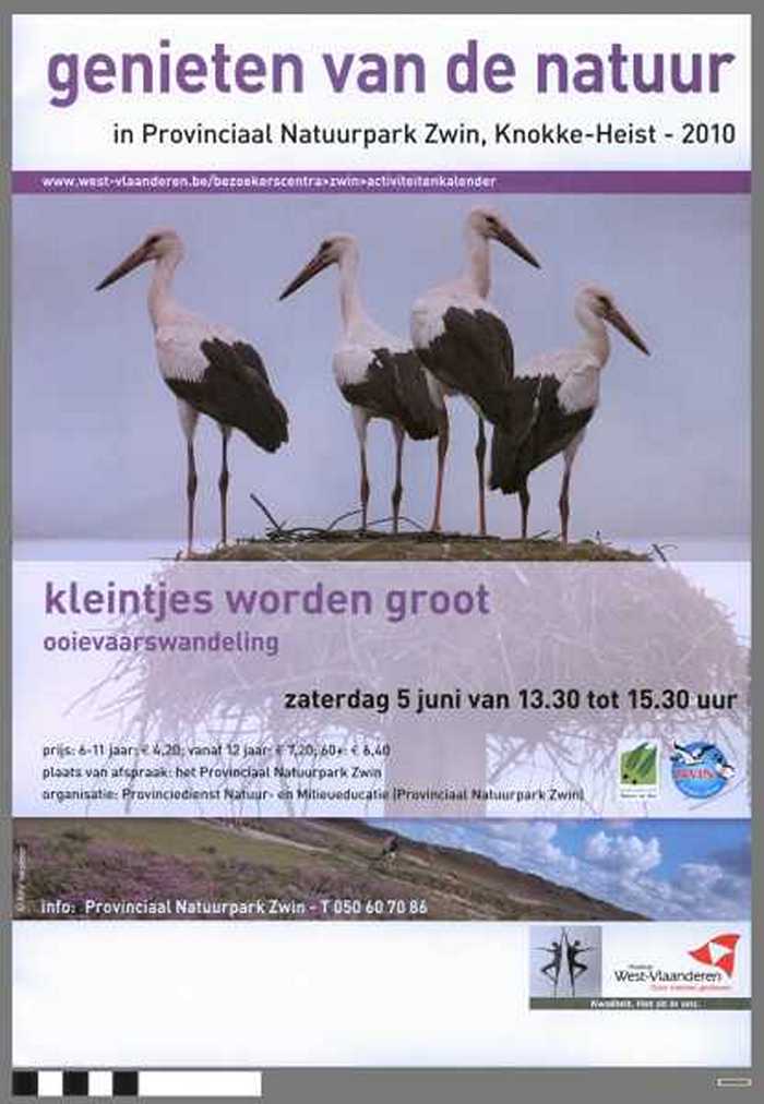 Genieten van de natuur - Kleintjes worden groot. Ooievaarswandeling