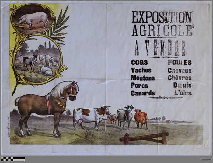 Exposition Agricole a vendre