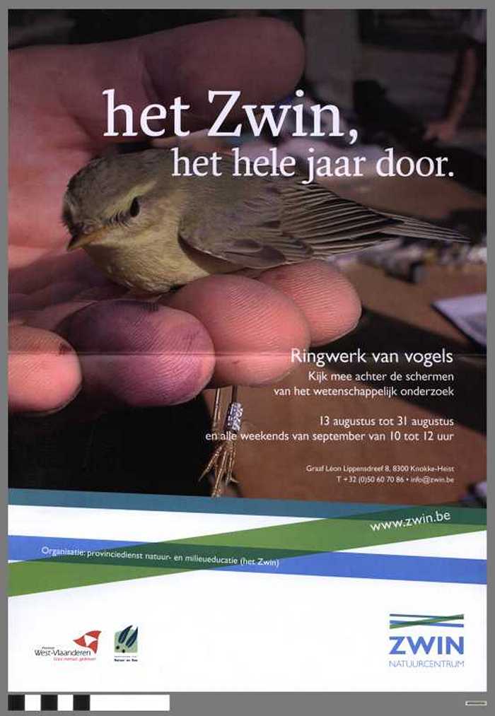 Het Zwin, het hele jaar door