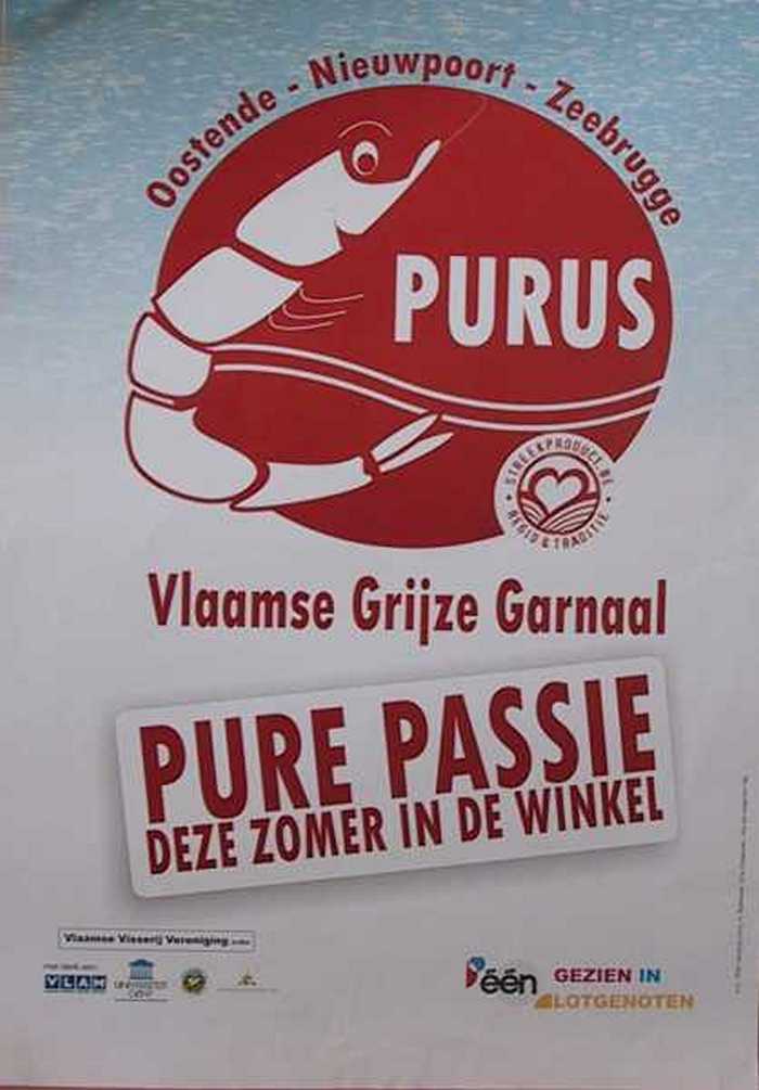 PURUS - Vlaamse Grijze Garnaal