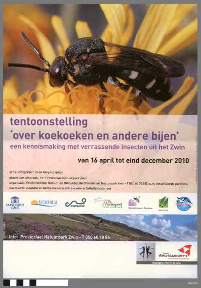 Tentoonstelling `over koekoeken en andere bijen