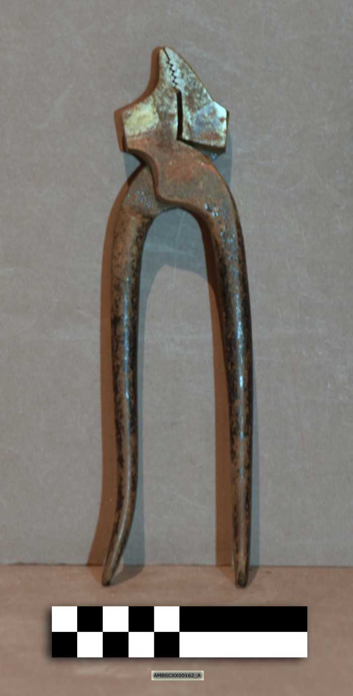 zwiktang (2 stuks)