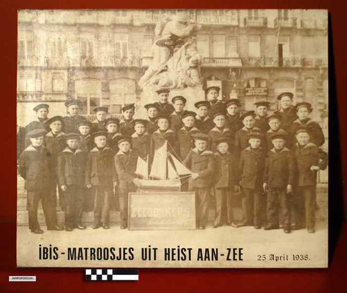 Ibis matroosjes