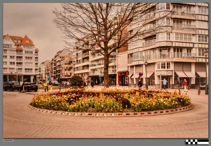 Foto rondpunt Zoute