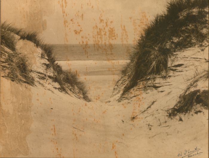 Duinen