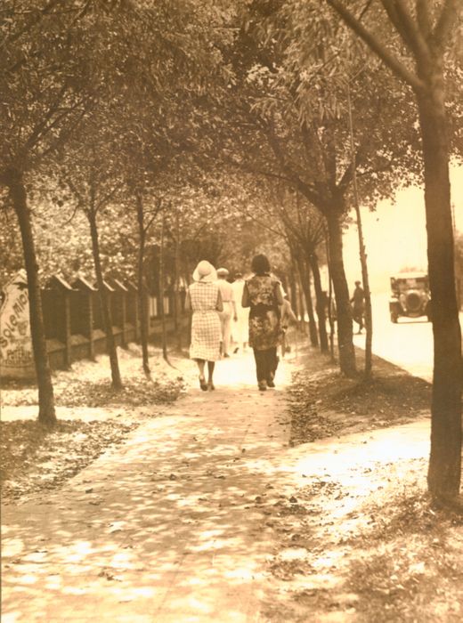 Wandelen