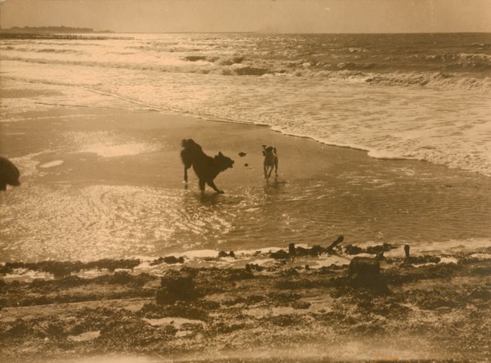 Strandzicht