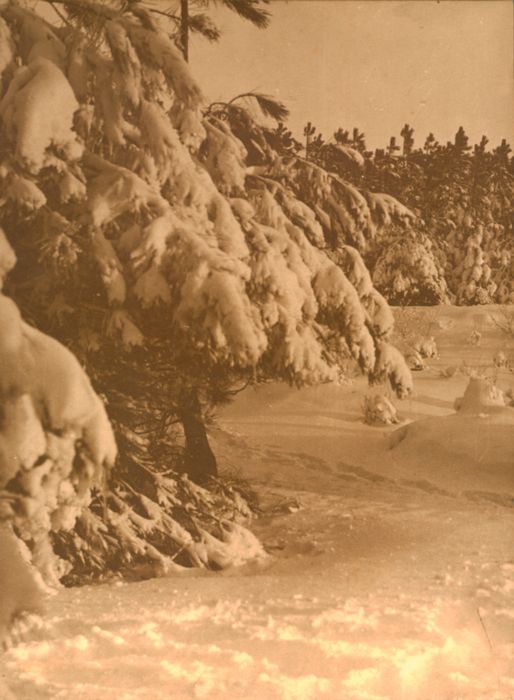 Winterlandschap