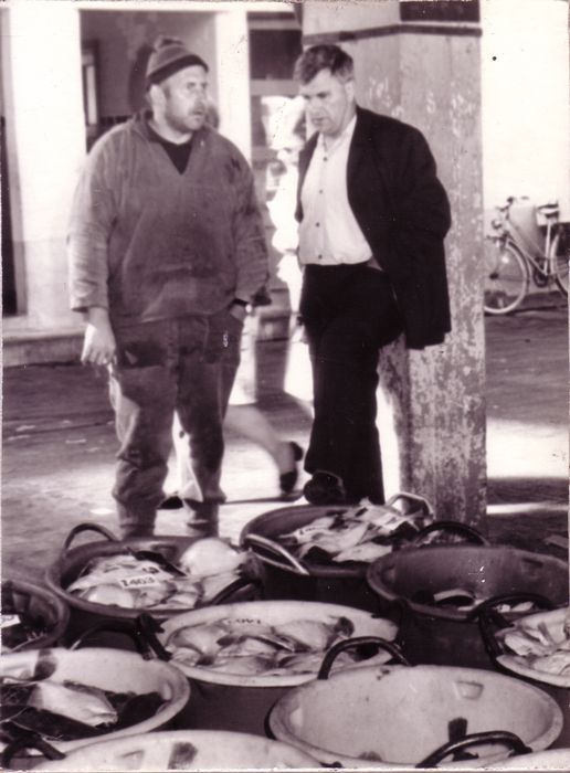 Vismijn