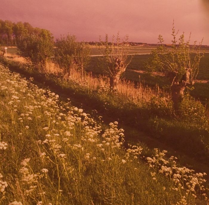 Polders