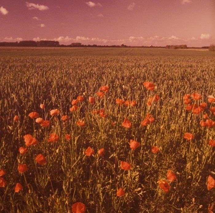 Polders