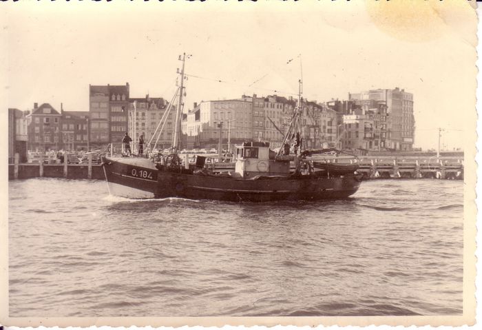 Garnaalvisser