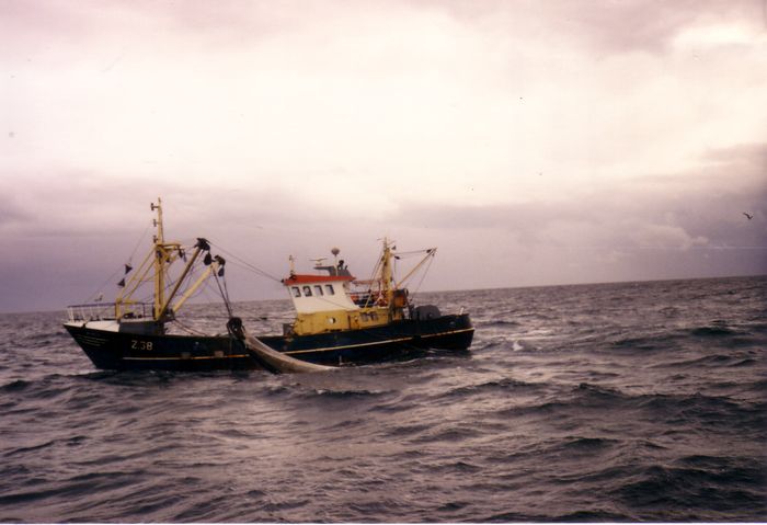 Visserij