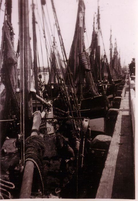 Havenzicht