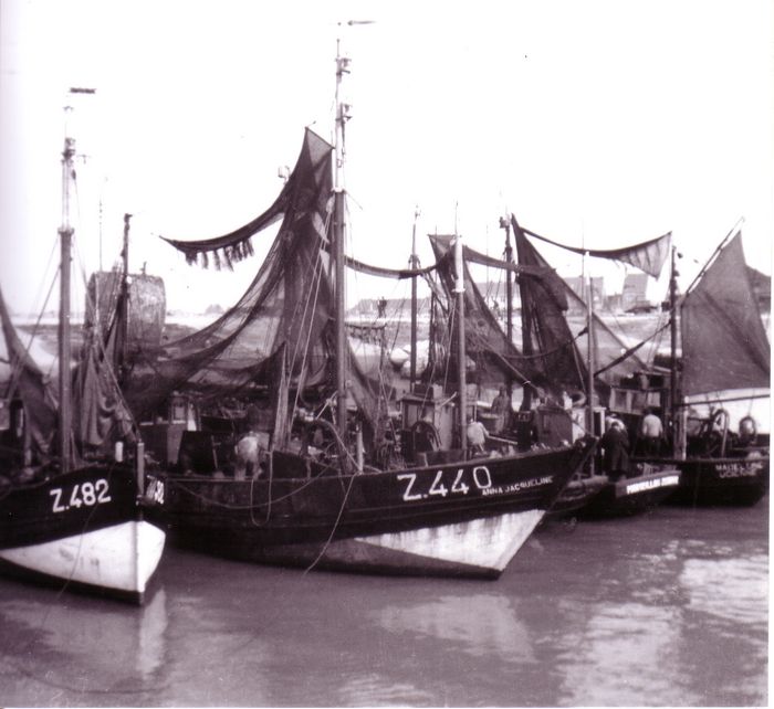 Havenzicht