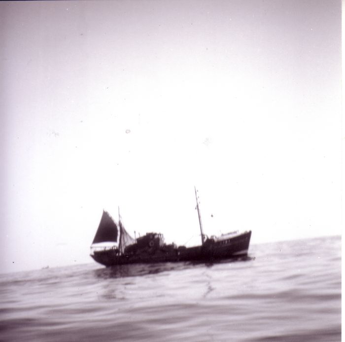 Visvangst