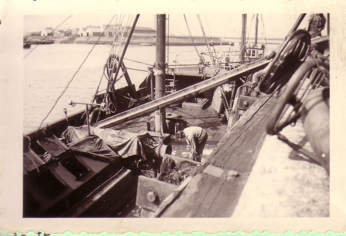 Havenwerk