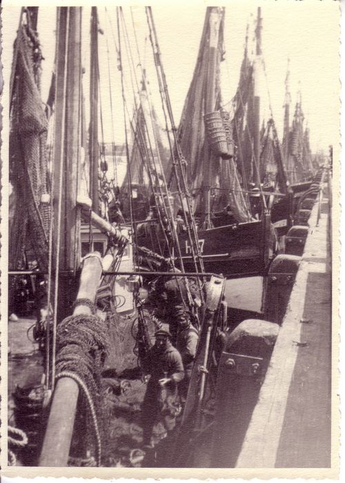 Havenzicht