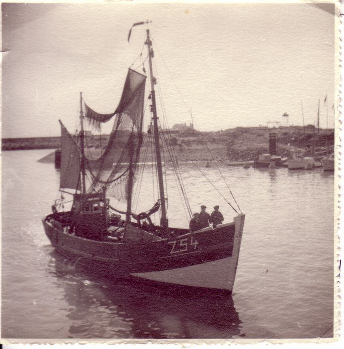 Garnaalvisser