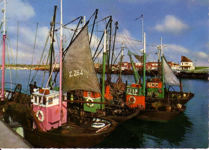 Havenzicht