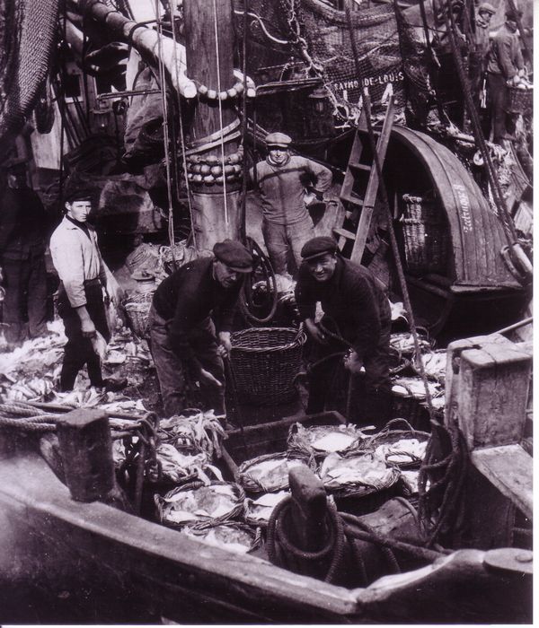 Vis lossen