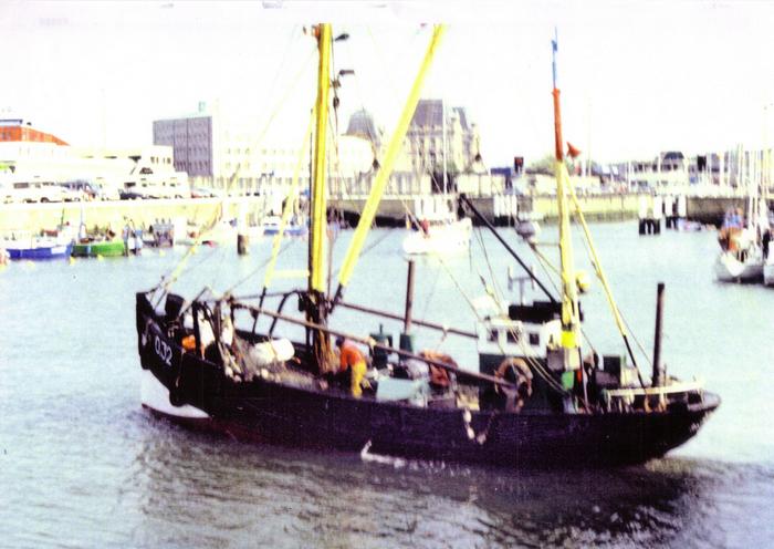 Garnaalvisser
