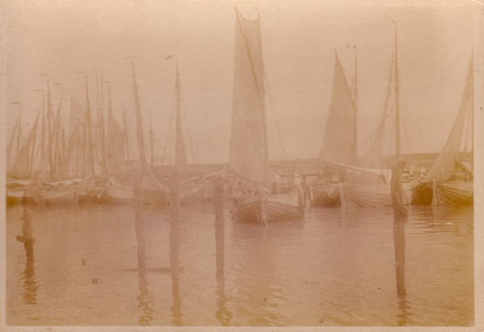 Haven