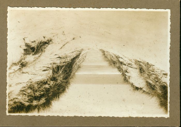 Duinen