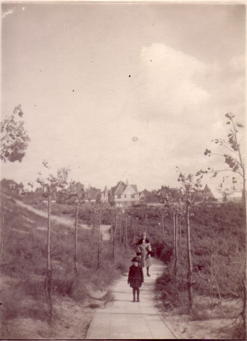 Bosjes