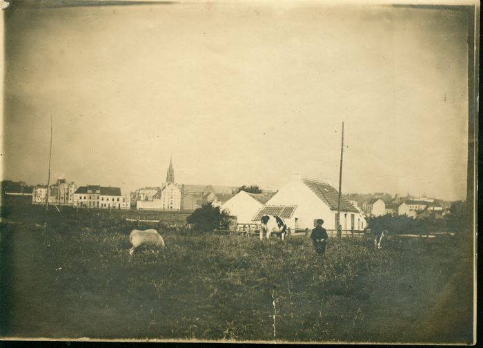 Hoeve