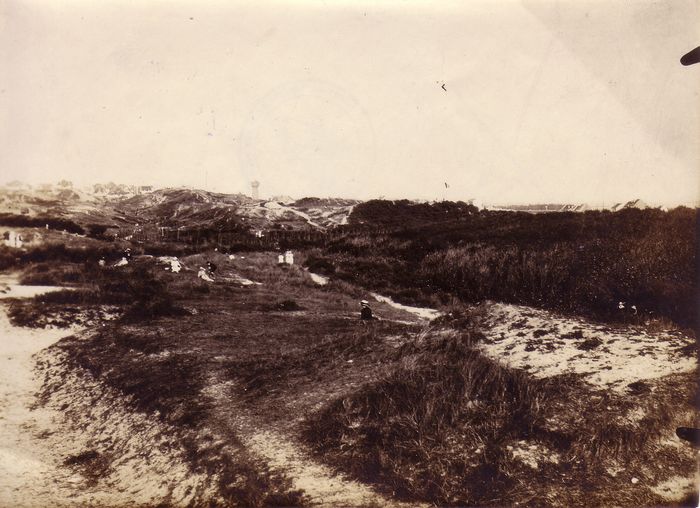 Duinen