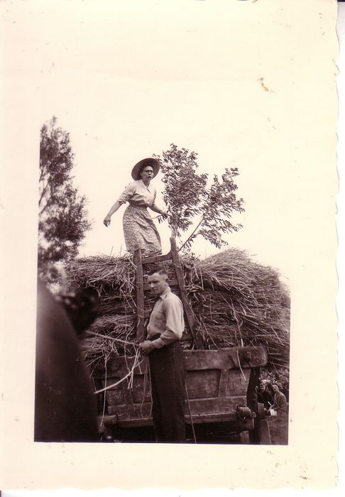 Voorstelling