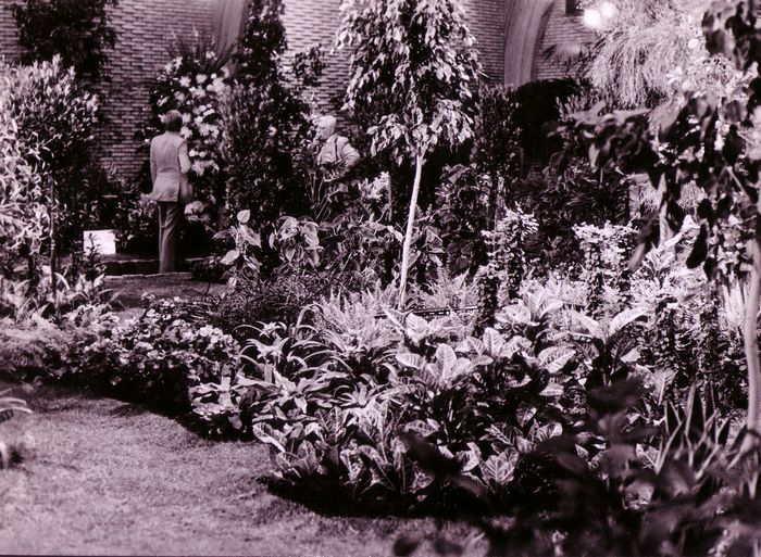 Bloemenkunst