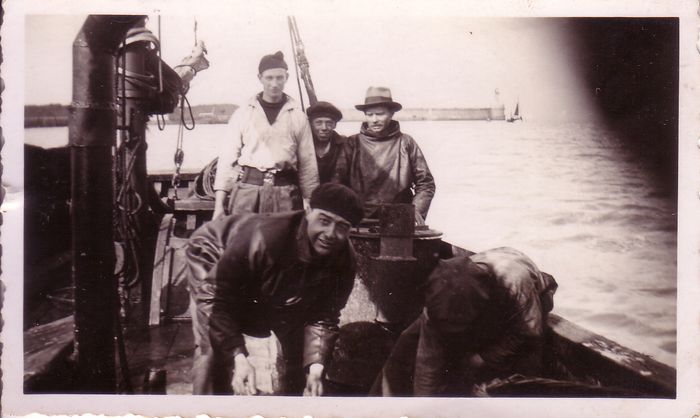 Garnaalvissers