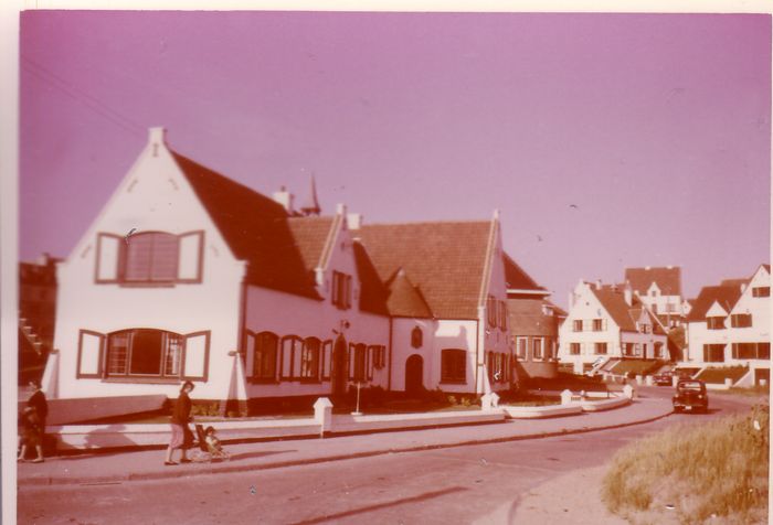Algemene zichten