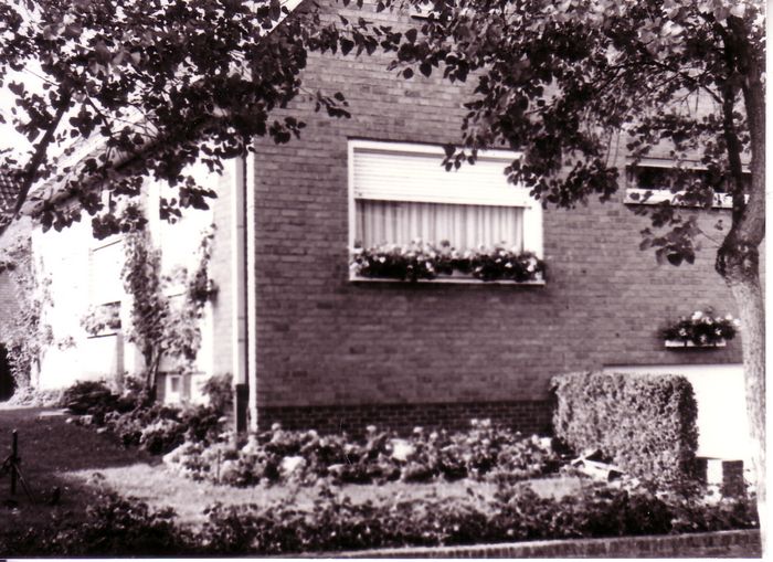 Festiviteiten