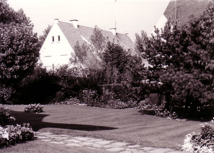 Festiviteiten