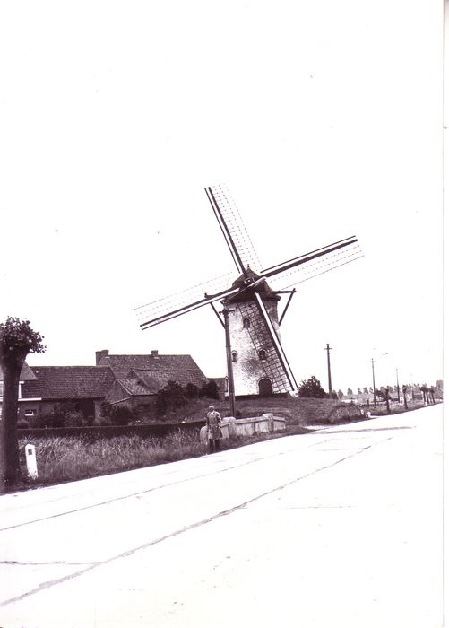 Molen
