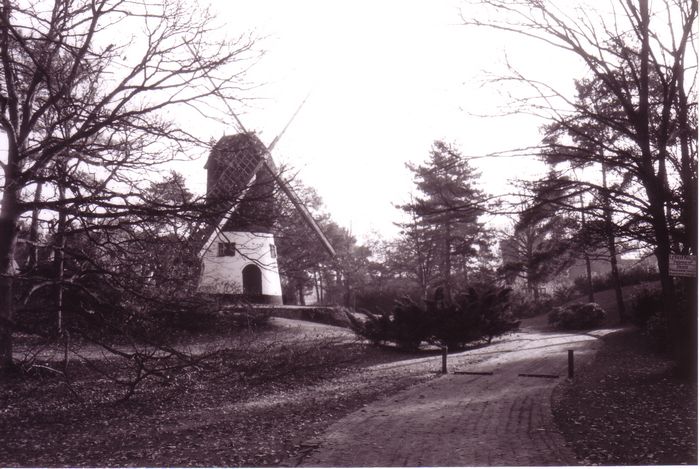 Molen
