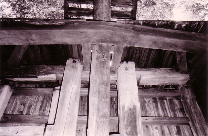 Molen