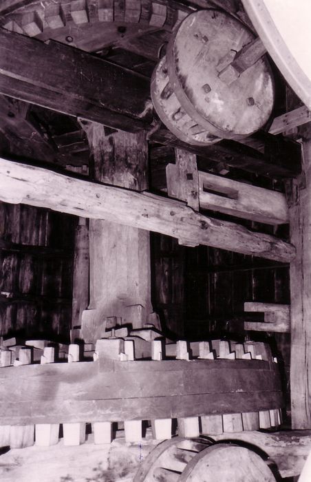 Molen