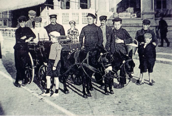 Foto