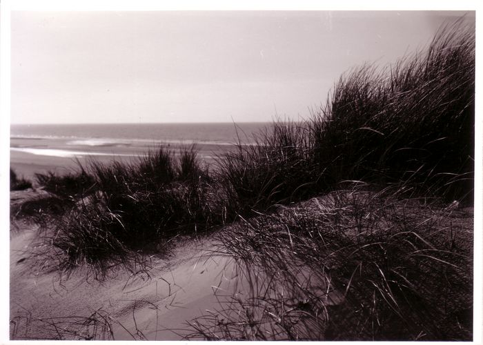 Duinen