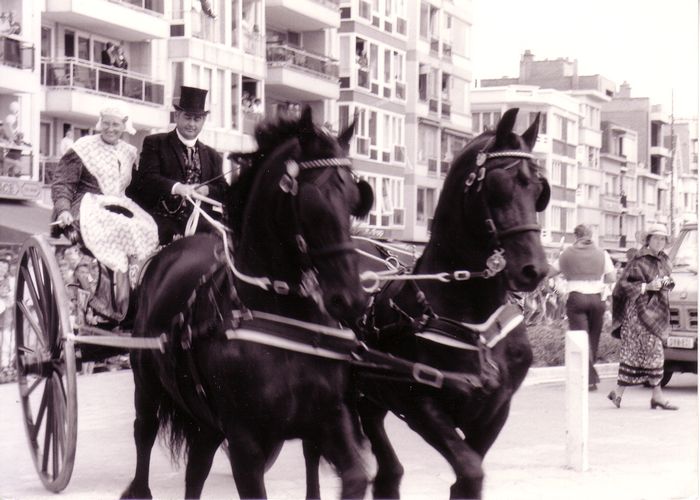 Festiviteiten