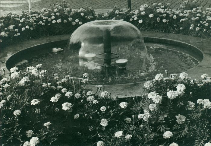 Fontein