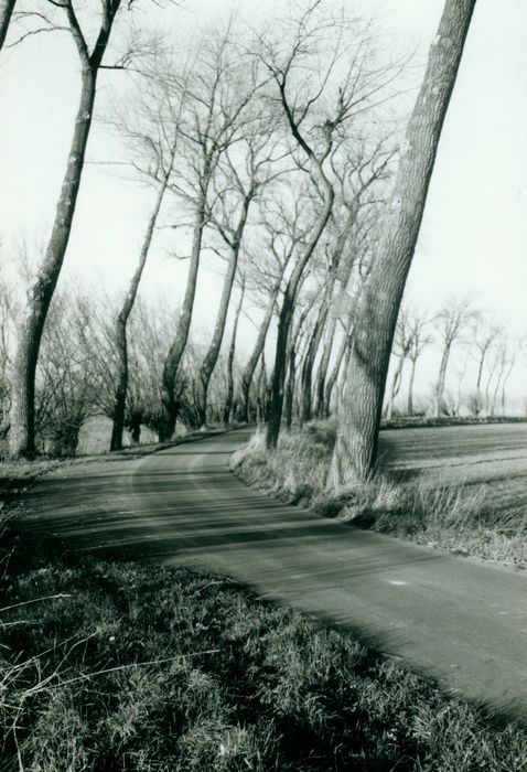 Landschap