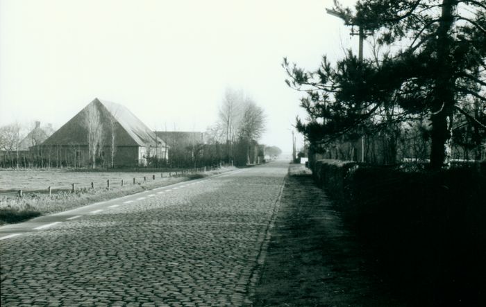 Landschap