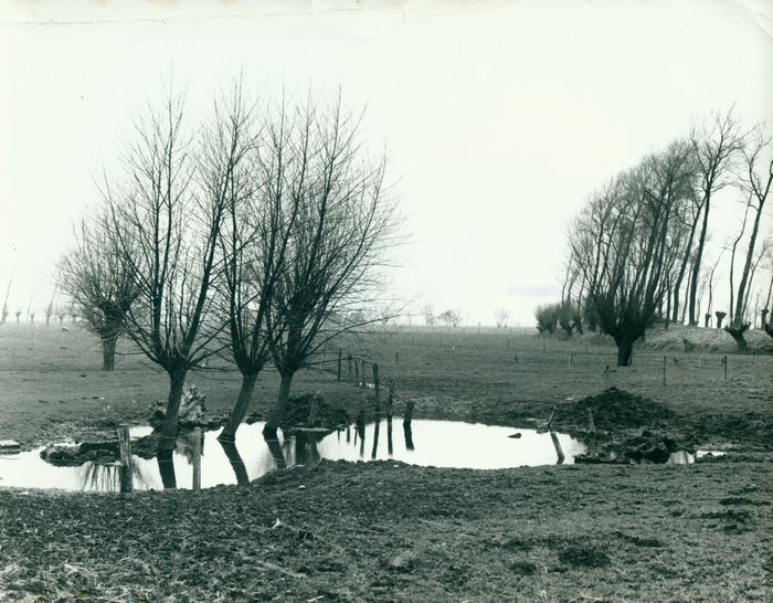 Landschap