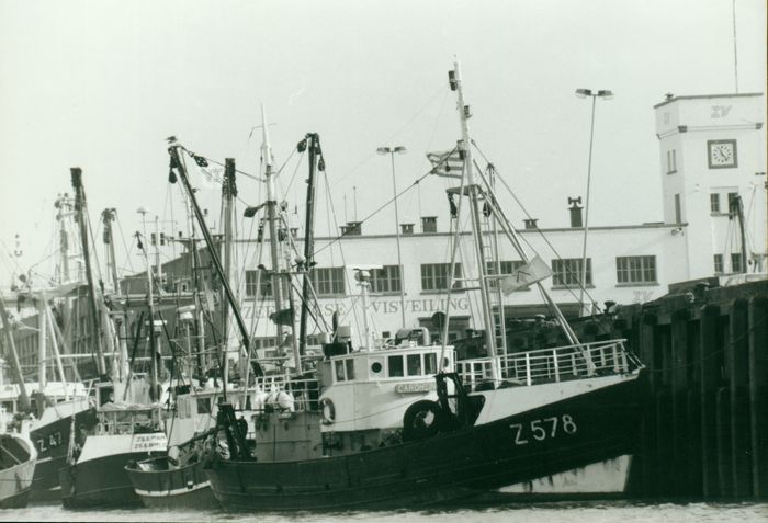 Haven