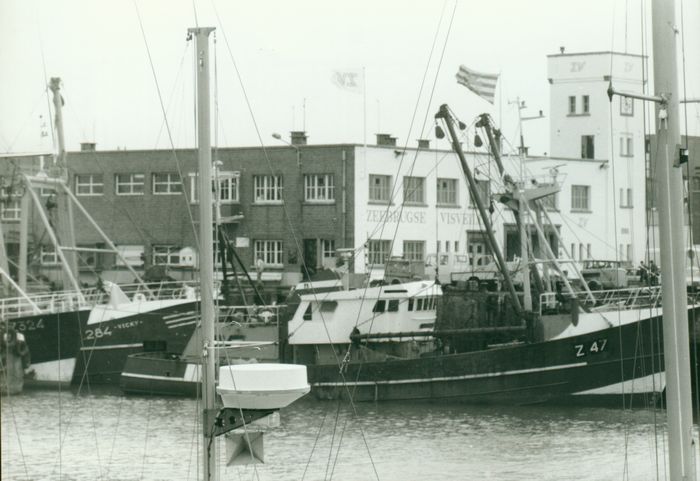 Haven